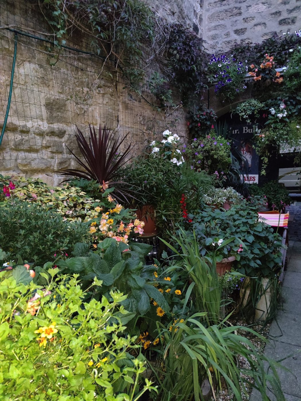 Flower beds against an old stone wall