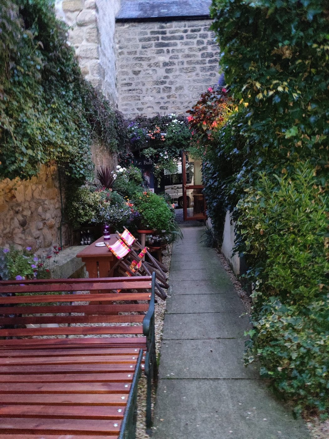 A narrow garden path between climbing plants and benches